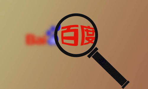 百度网站排名代做